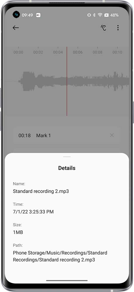 how to view recording files 