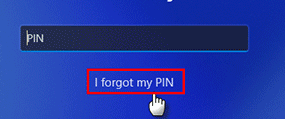 forgot my pin 